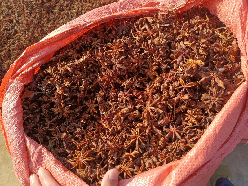春花八角通货量大从优大量接单产地直发量大从优