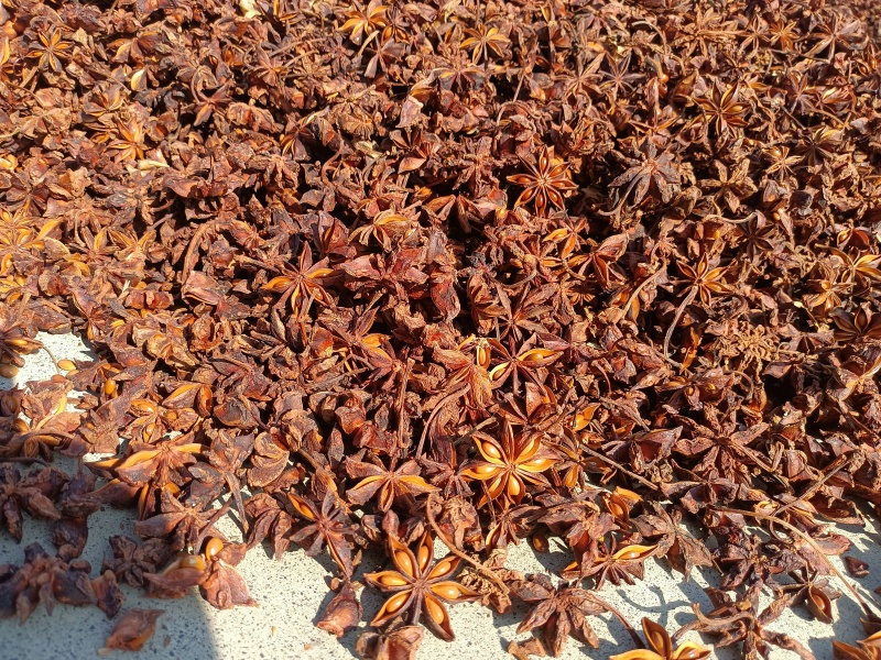 春花八角通货量大从优大量接单产地直发量大从优