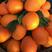 【实力供货】纽荷尔脐橙，精品纽荷尔脐橙，果园看货订货拉货