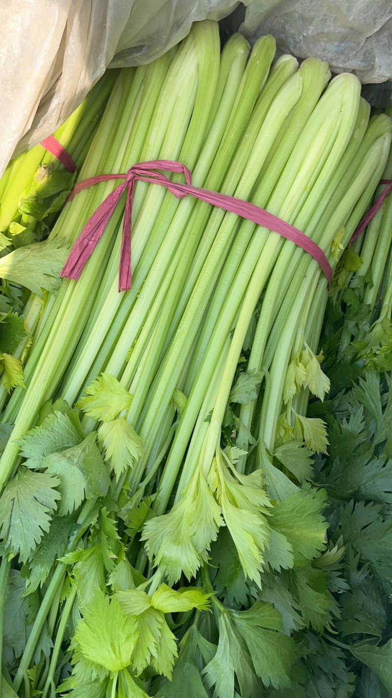 精品芹菜，无空心，货源充足，代发全国，质量可靠
