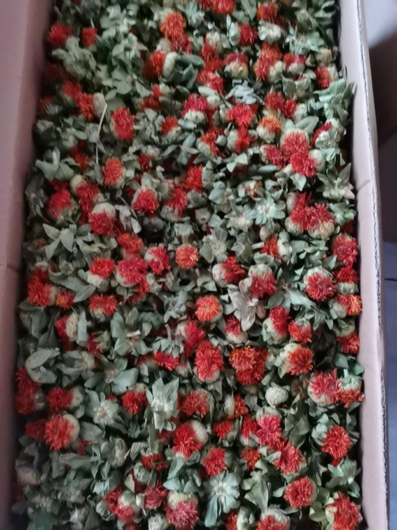 安徽亳州新货红花果红花泡茶红花朵中药材