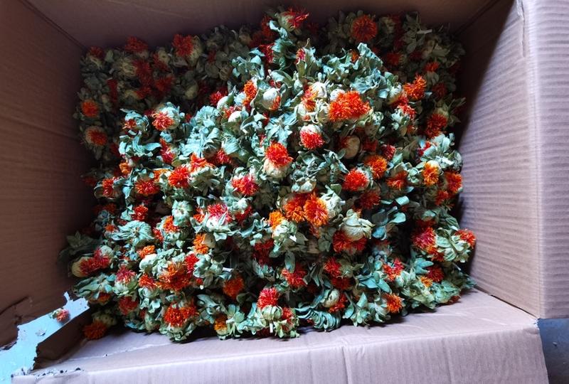 安徽亳州新货红花果红花泡茶红花朵中药材
