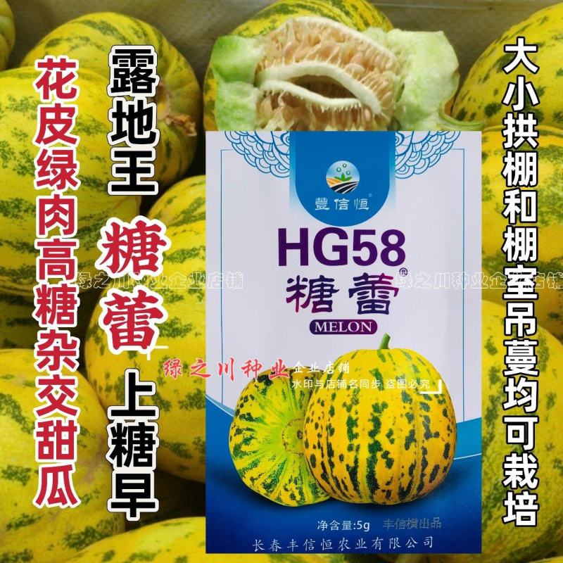 糖蕾甜瓜种子八里香绿皮绿肉高糖甜瓜种籽大果耐裂香瓜种子