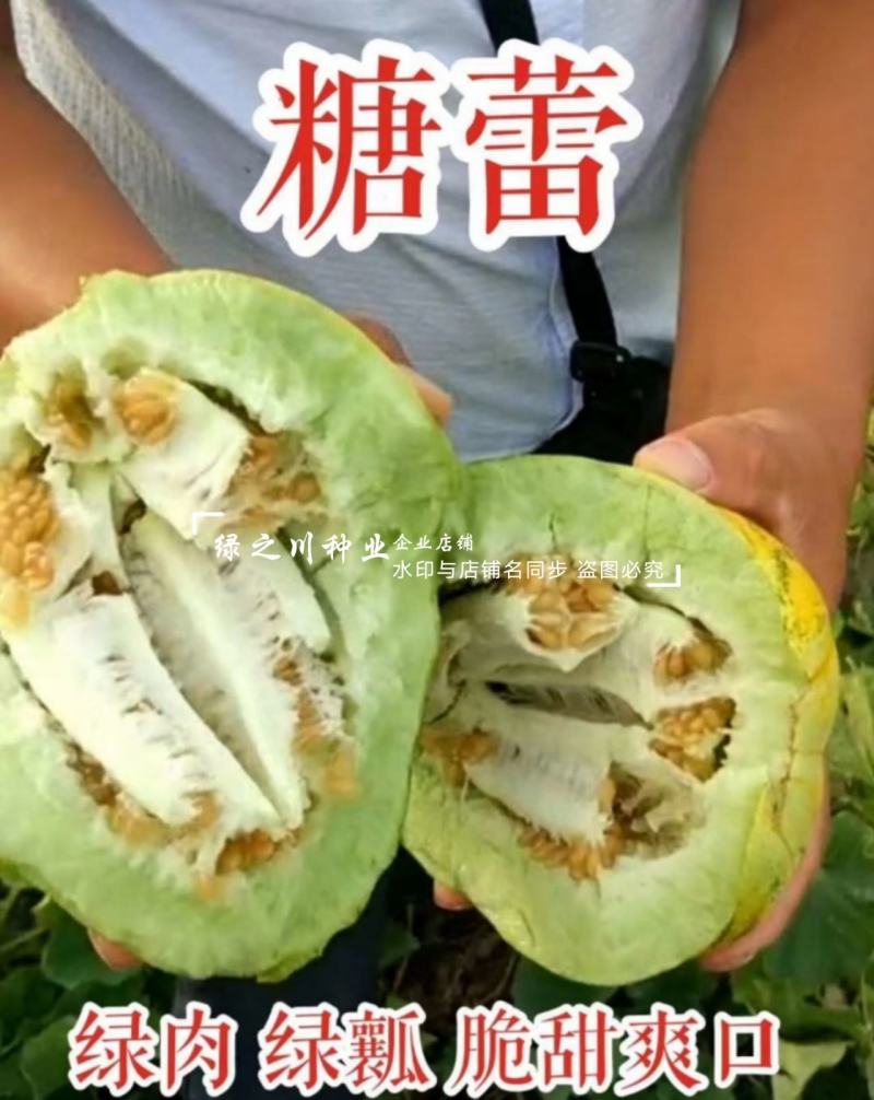 糖蕾甜瓜种子八里香绿皮绿肉高糖甜瓜种籽大果耐裂香瓜种子
