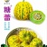 糖蕾甜瓜种子八里香绿皮绿肉高糖甜瓜种籽大果耐裂香瓜种子