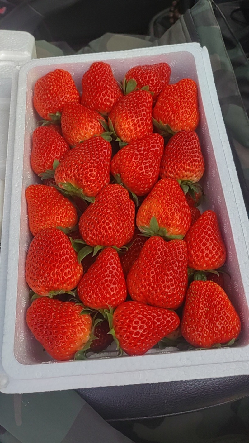 红颜久久藏香奶油草莓