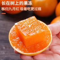 【九月红脐橙】湖北精品脐橙，产地直发，品质保证，可视频看