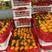 《推荐》广西早沙糖桔精品八月橘大量上市保质保量