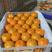 【精品】广西柑橘精品八月橘大量上市口感甜质量优