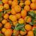 【精品】广西柑橘精品八月橘大量上市口感甜质量优