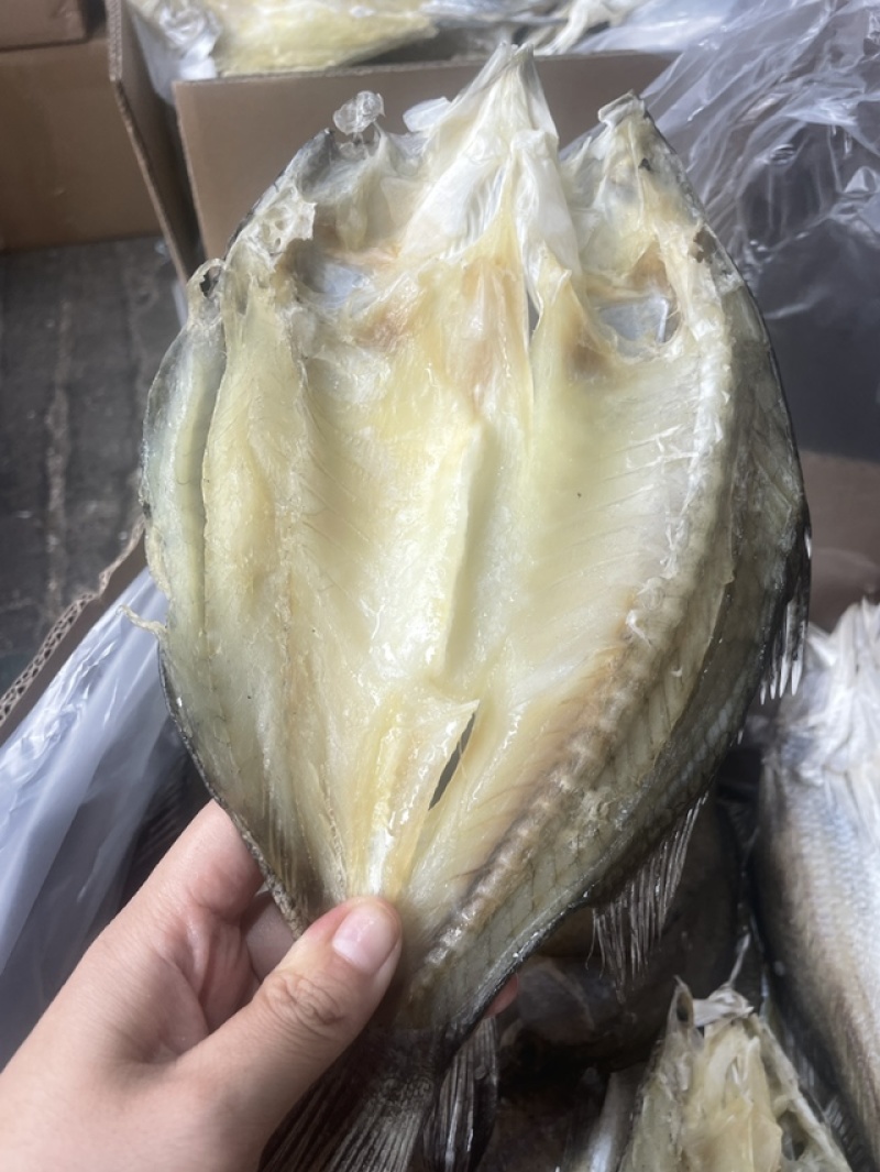 开边盲曹鱼展会地摊电商开边盲曹鱼鲈鱼干鱼片鱼肉鱼条干