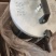 出售全新560颗粒机客户因场地原因无法使用，需要的老板