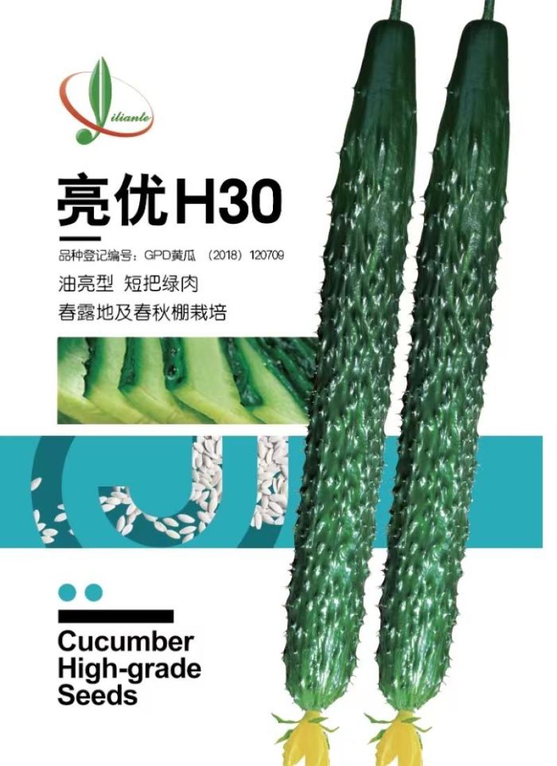 黄瓜种子亮优H30油亮早春秋延冷棚天津亿联特品牌