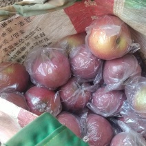 膜袋富士