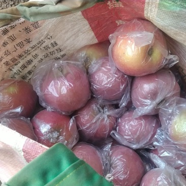 膜袋富士
