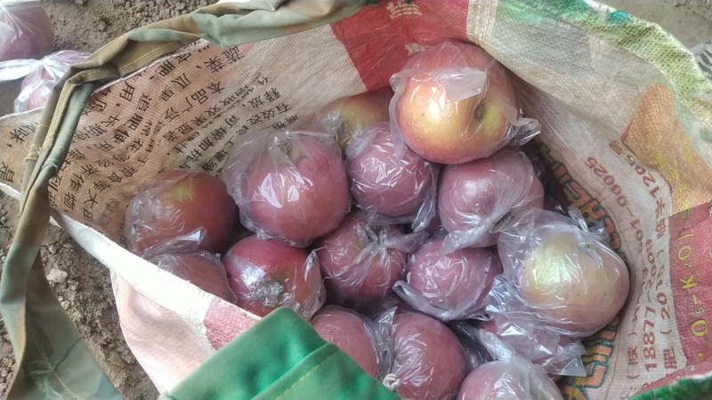 膜袋富士