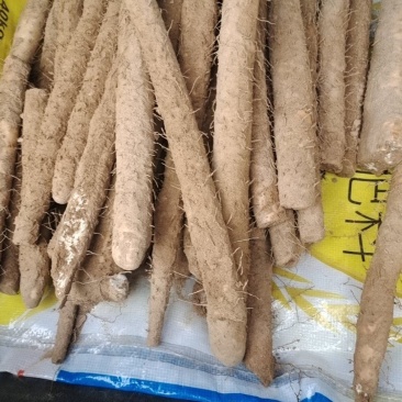 大量有货