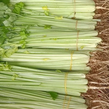 蔬菜代办