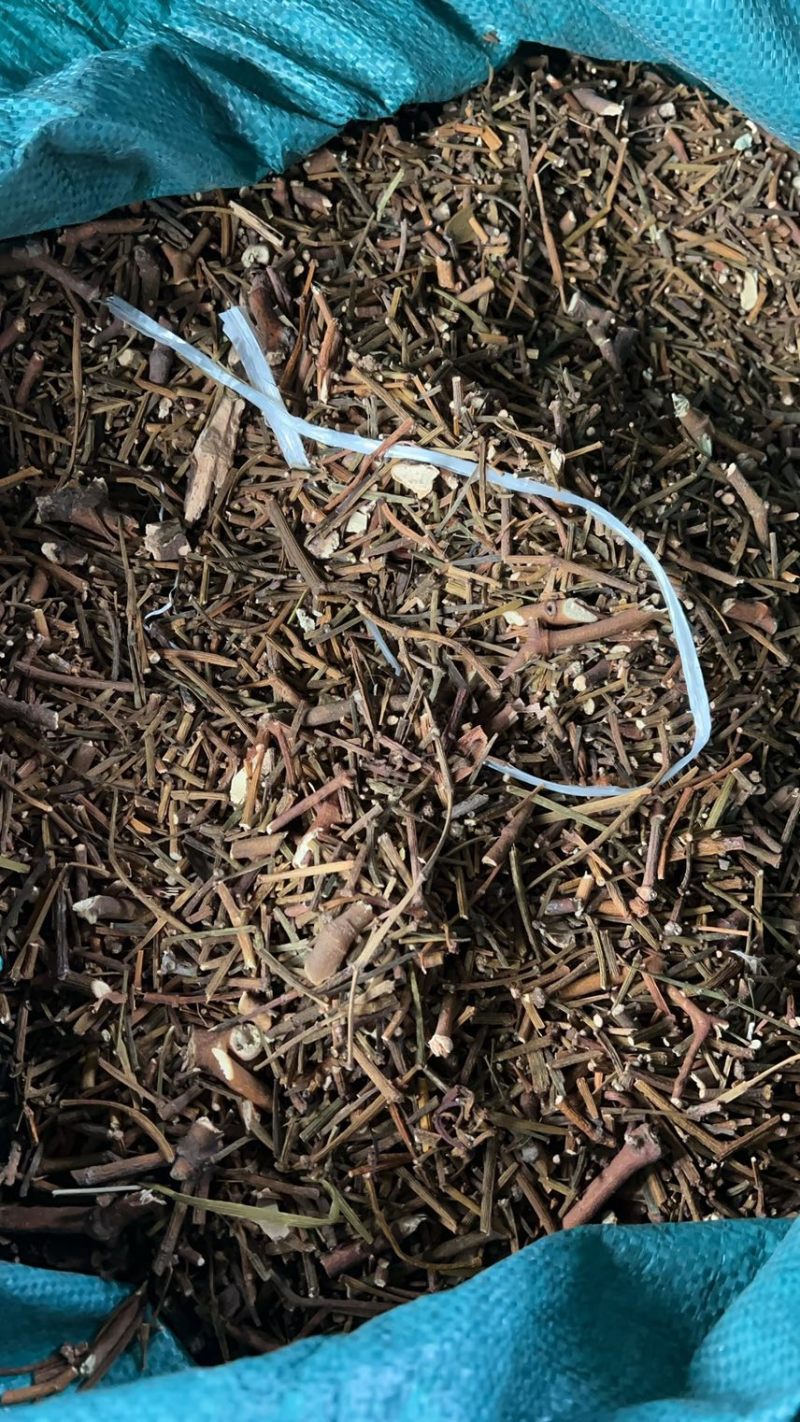 寄生云南野生寄生云南特产产地一手货源
