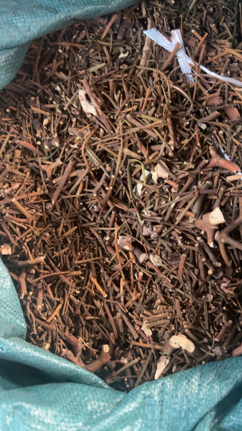 寄生云南野生寄生云南特产产地一手货源