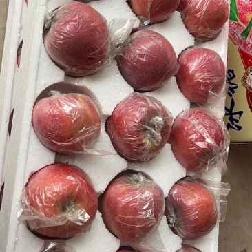 山西红富士苹果