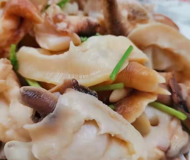 三去盐柔小蚌仔刺身料理凉拌涮锅食材北极蚌蚌仔唇边