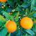 【HOT】奉节脐橙二级果，电商果，高次果，一级果，货源足