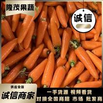 【实力】三红胡萝卜，河南水洗胡萝卜，规格齐全大量供应