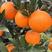 脐橙湖北秭归脐橙普脐大量上市果园直发对接电商市场