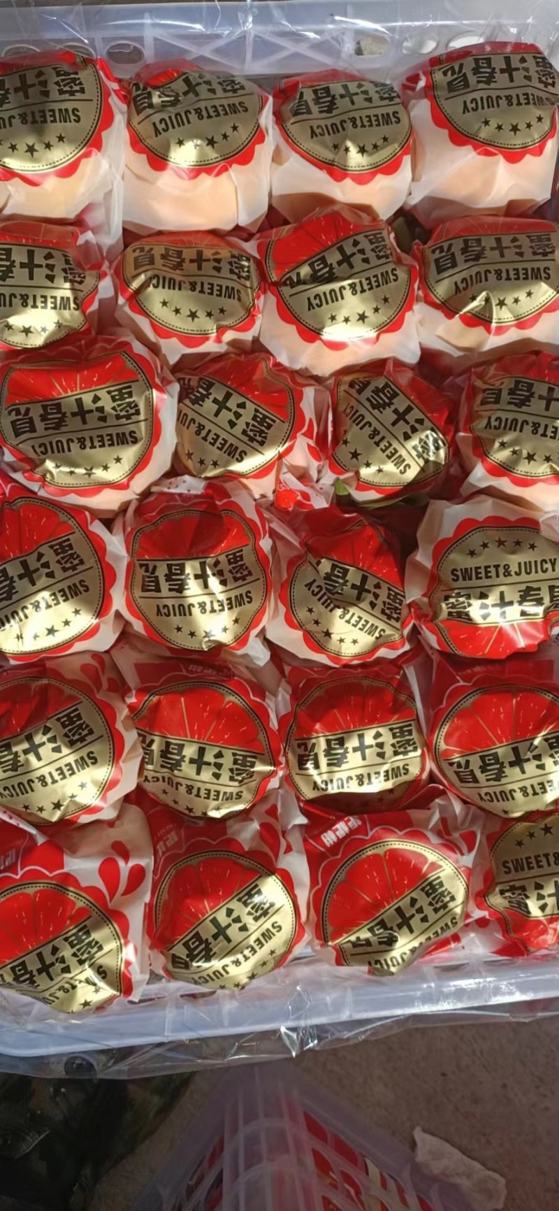 耙耙柑四川春见耙耙柑入口化渣对接各大平台