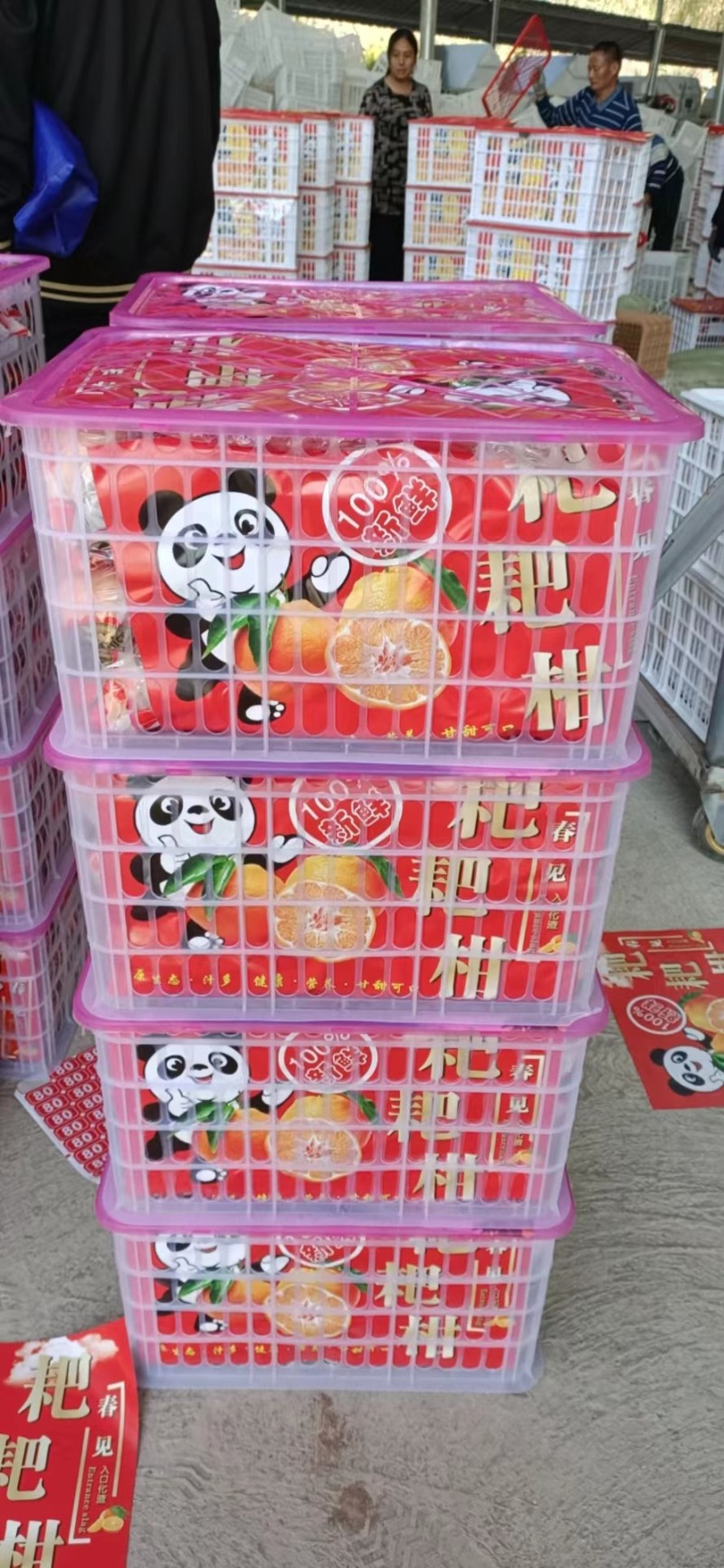 耙耙柑四川春见耙耙柑入口化渣对接各大平台