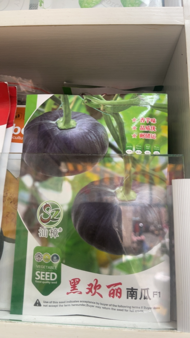 特色小南瓜种子口感好较有香芋味趴地露地中早熟糯而香甜蔬菜