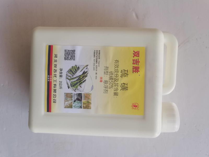 50硫磺悬浮剂（双吉胜）白粉茎枯病有较好的防效。
