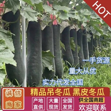 广东精品吊产地一手货源实力代发全国