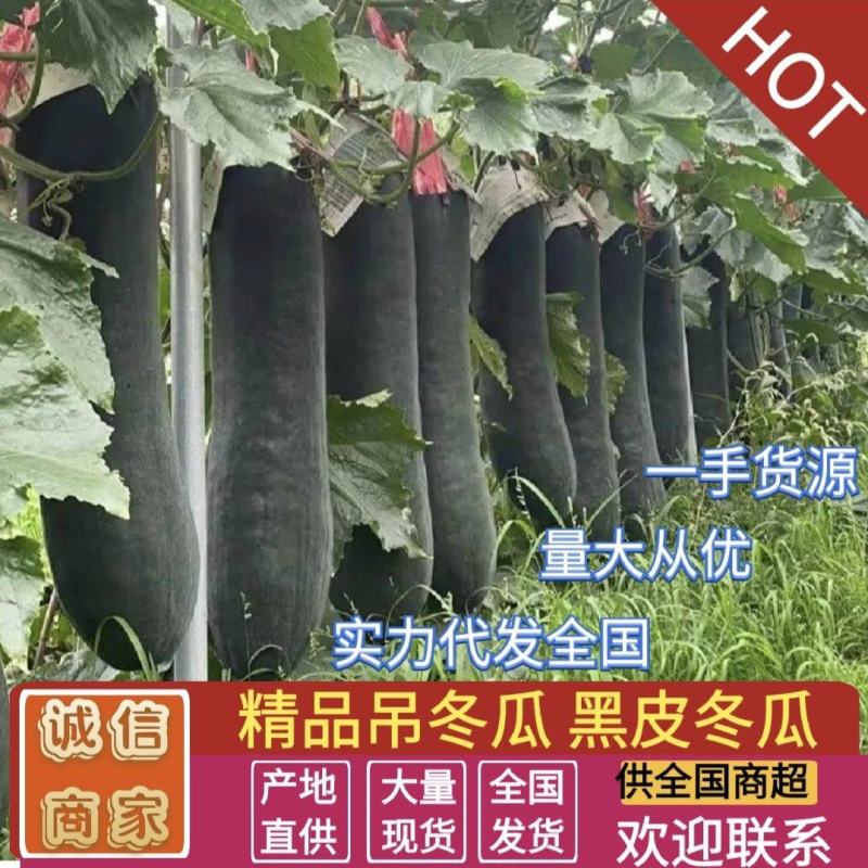 广东精品吊产地一手货源实力代发全国
