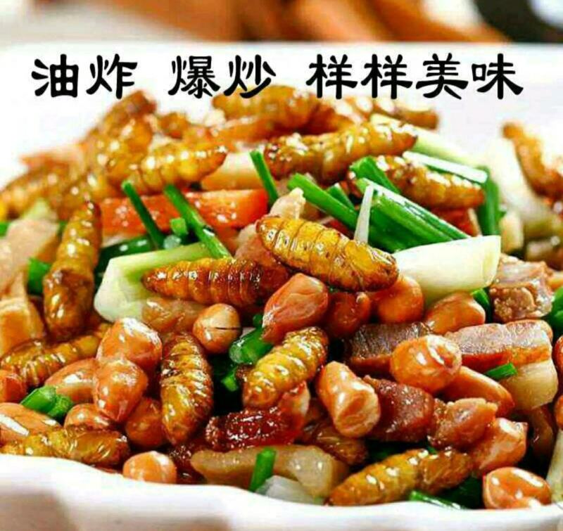 东北金丝蚕蛹原汁原味好吃不贵（5斤1件包邮）