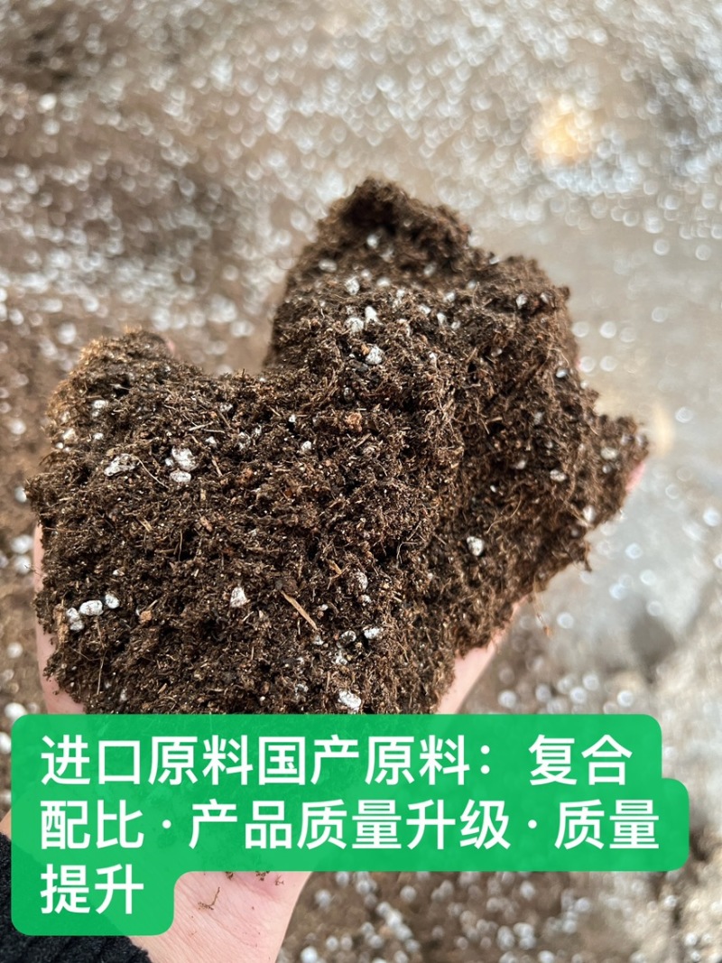 进口泥炭配比基质厂家直销🔥火爆销售中……