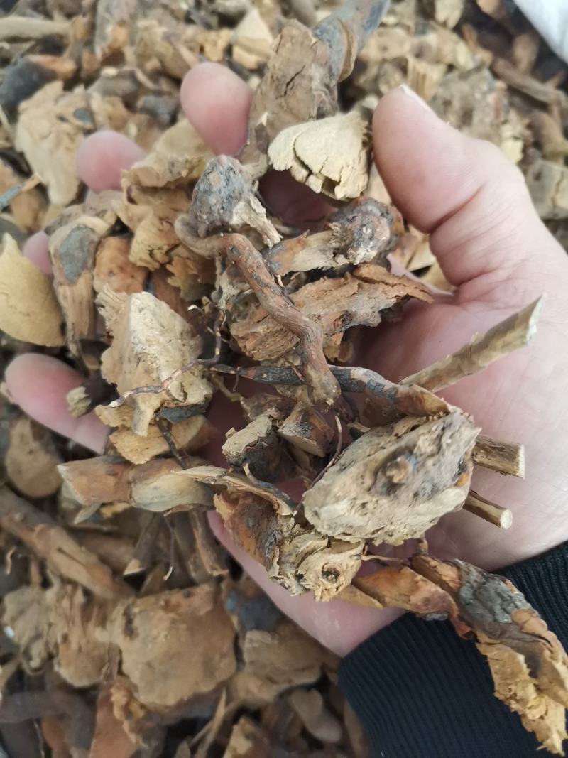 透骨香，满山香，搜山虎，产地大量货原一件代发，欢迎来电