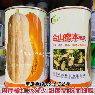 金山蜜本南瓜种子大果甜蜜本南瓜种籽粉糯香甜肉橙红色水分少