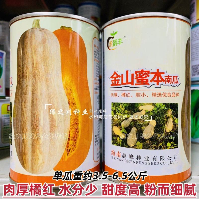 金山蜜本南瓜种子大果甜蜜本南瓜种籽粉糯香甜肉橙红色水分少