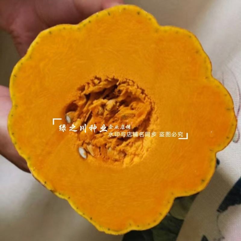 金山蜜本南瓜种子大果甜蜜本南瓜种籽粉糯香甜肉橙红色水分少