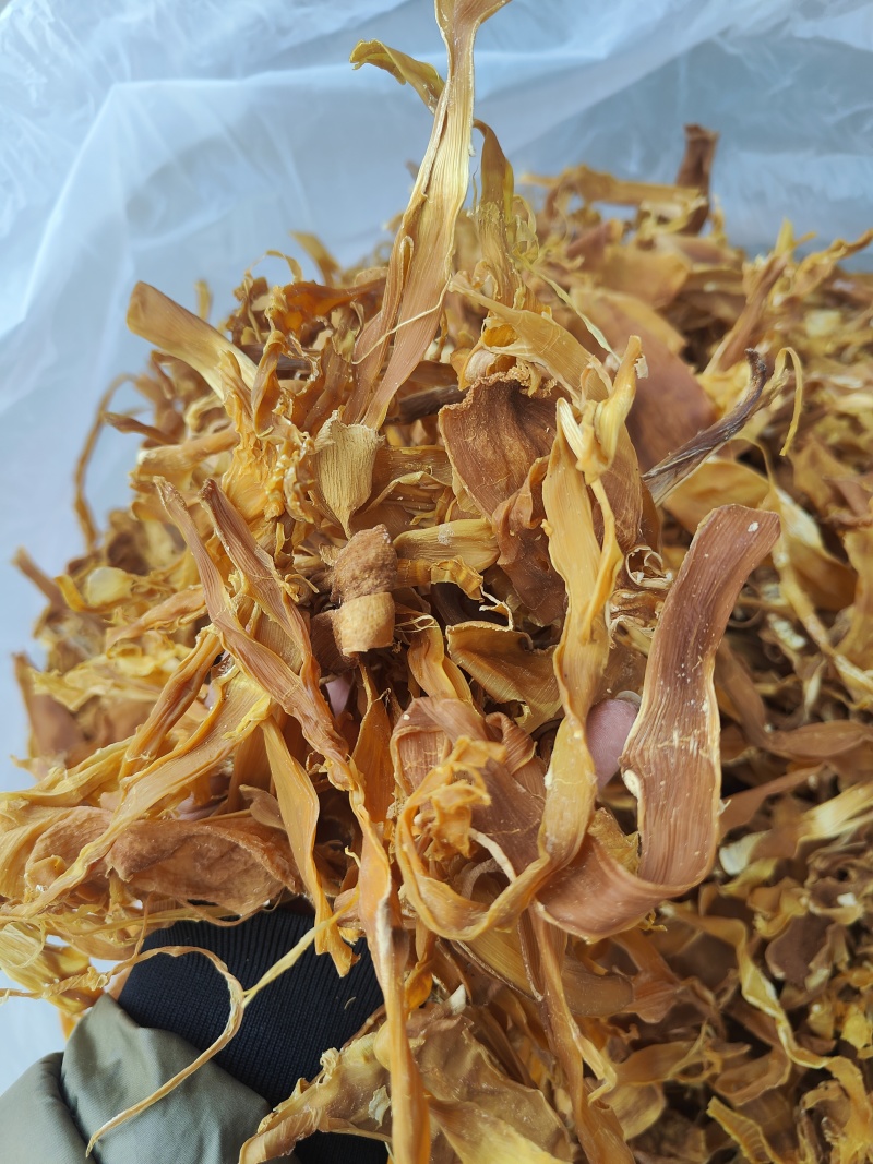 云南野生笋干_笋片