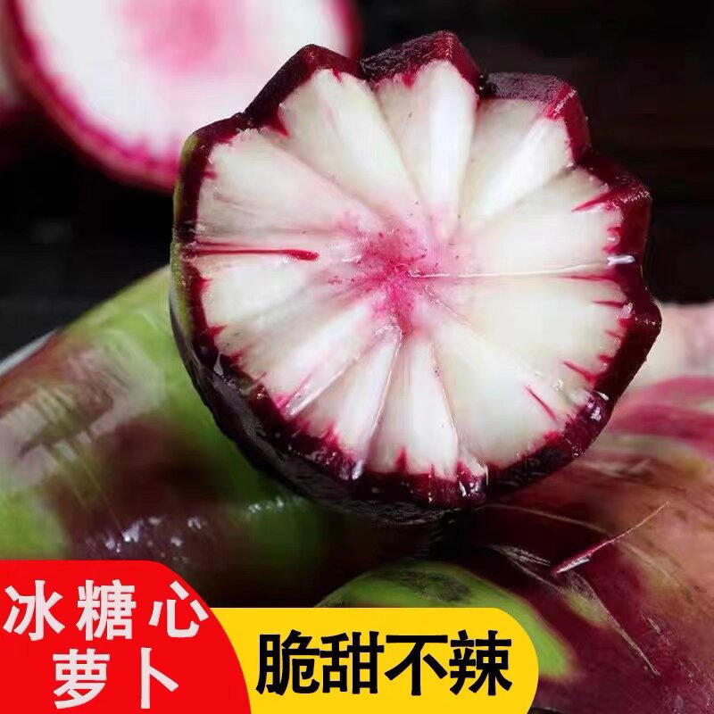【精选】山东冰激凌萝卜冰糖心萝卜脆甜爽口一件代发全国发货