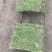 基地直供中华结缕草货源充足需要欢迎来电咨询可视频看货