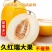【好货】精品山东久红瑞黄金蜜瓜市场货电商货精品货保质保量