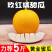 【好货】精品山东久红瑞黄金蜜瓜市场货电商货精品货保质保量