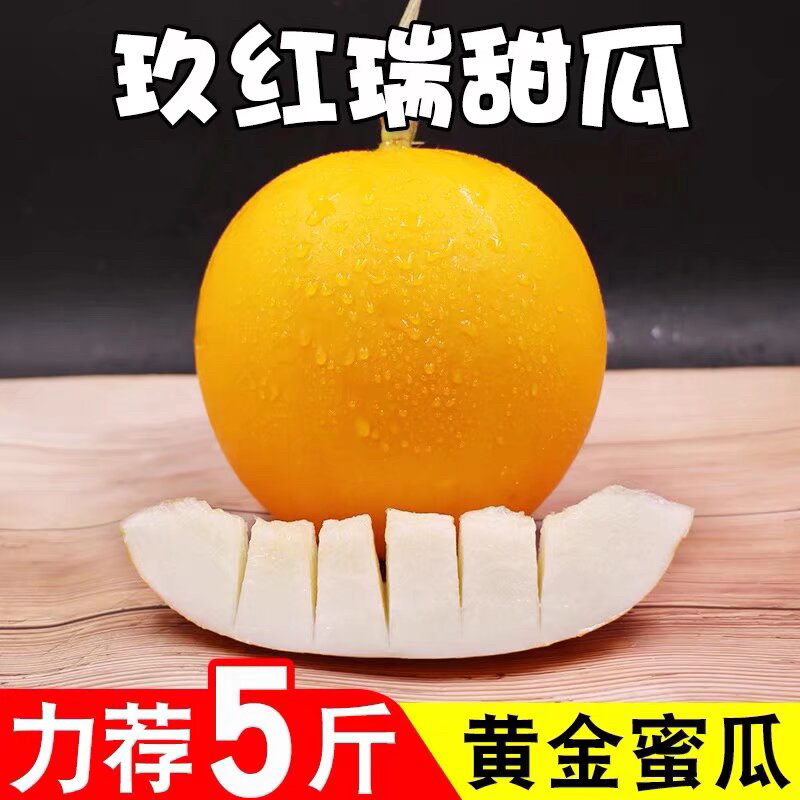 【好货】精品山东久红瑞黄金蜜瓜市场货电商货精品货保质保量