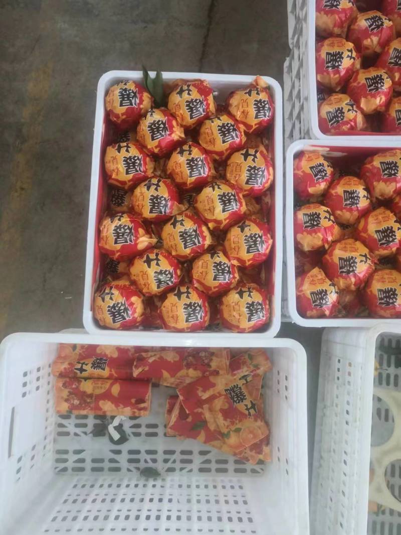 【推荐】资中春见柑桔耙耙柑一手货源供应市场商超电商