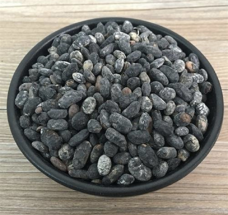 淡豆豉通货振兴药材批发一手货源
