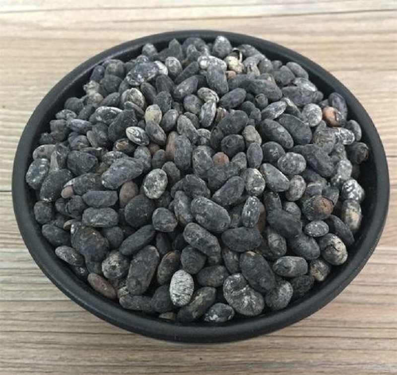 淡豆豉通货振兴药材批发一手货源